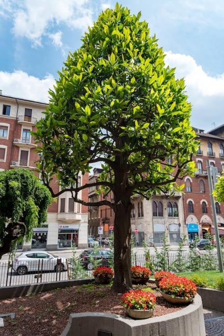 Comfort Zone - Mole Suite Torino Dış mekan fotoğraf
